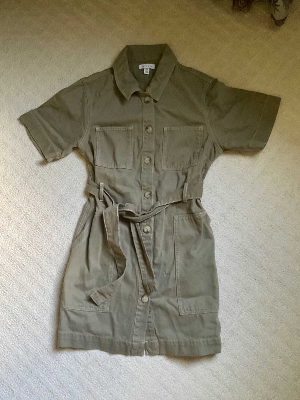 Sz 10 TopShop Dress
